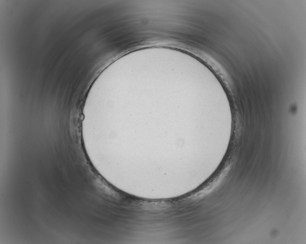 X0000116431001201001191507