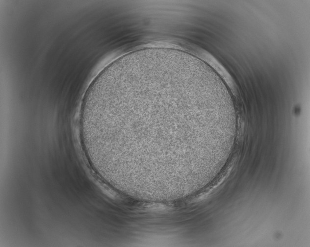 X0000116431002201001191507