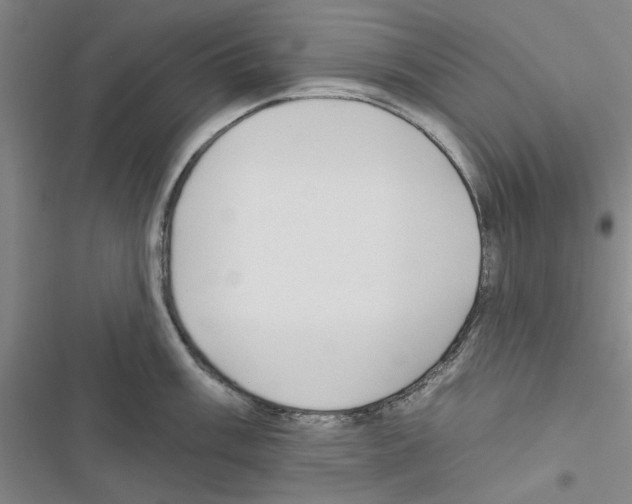 X0000116431003201001191507