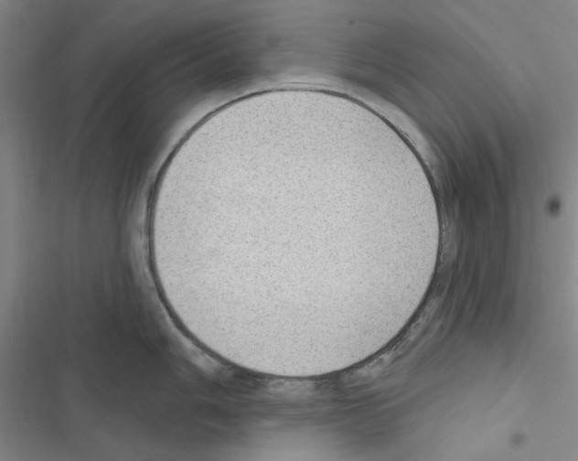 X0000116431006201001191507
