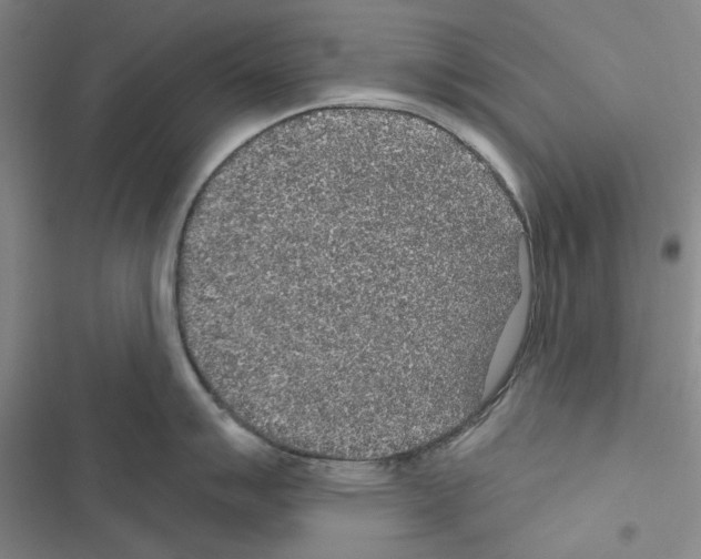 X0000116431007201001191507