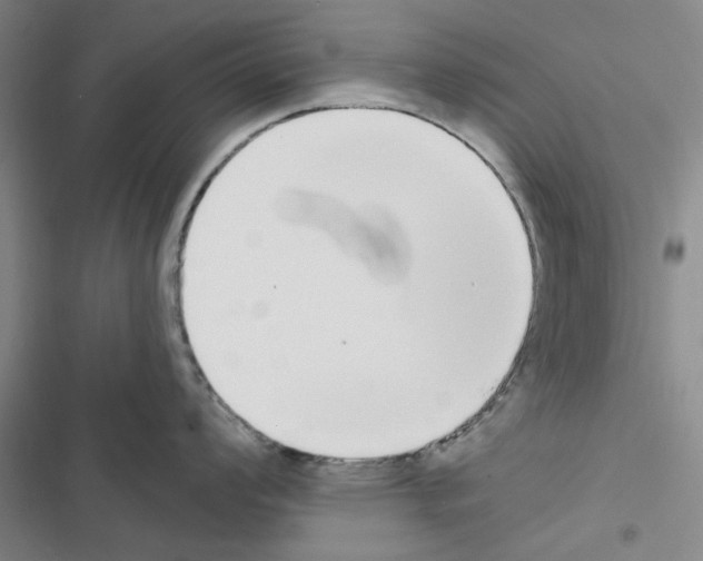X0000116431008201001191507
