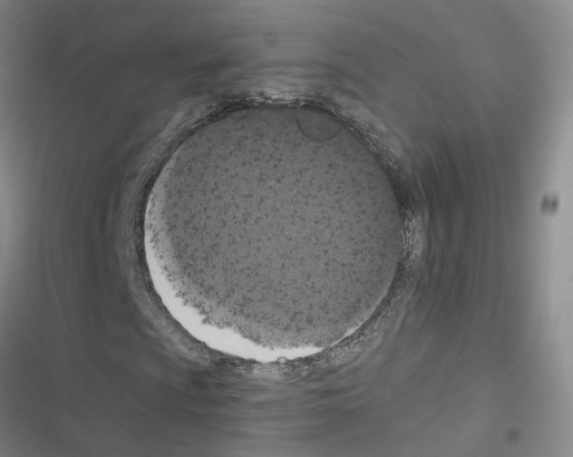 X0000116431009201001191506