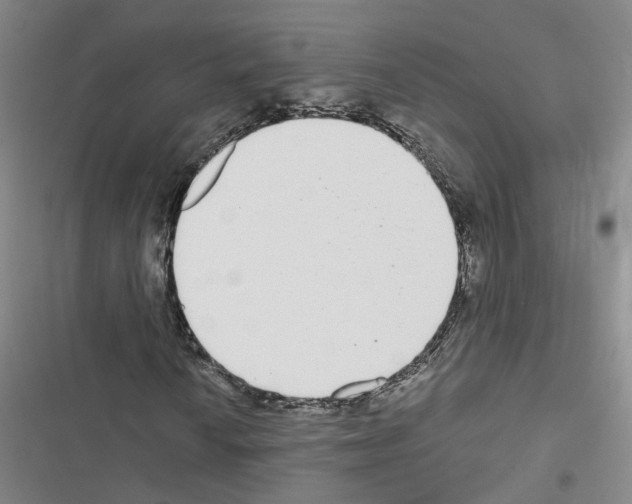 X0000116431010201001191506