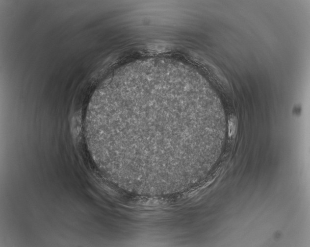 X0000116431011201001191506