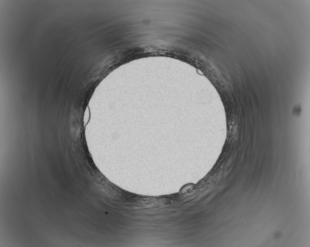 X0000116431012201001191506