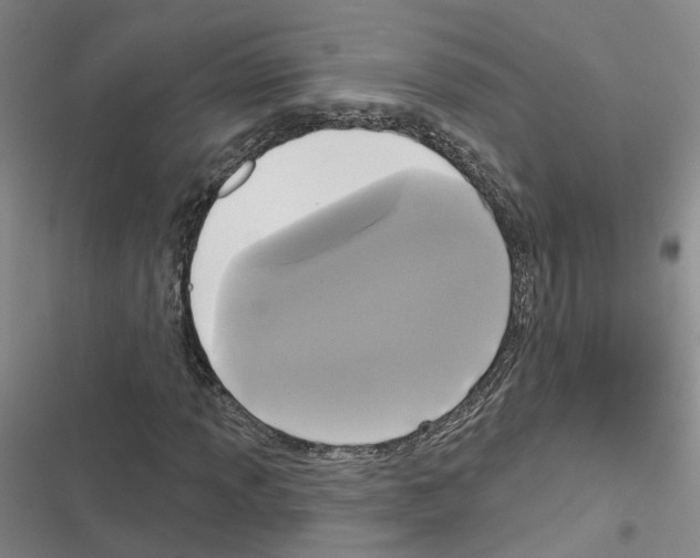 X0000116431013201001191506