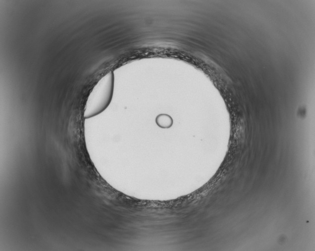 X0000116431014201001191506