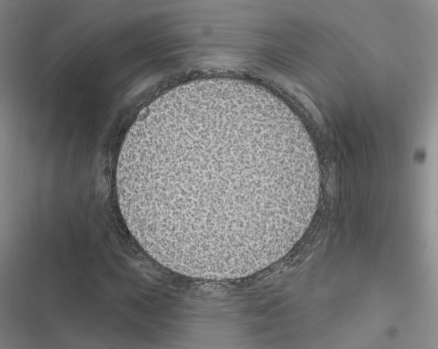 X0000116431015201001191506
