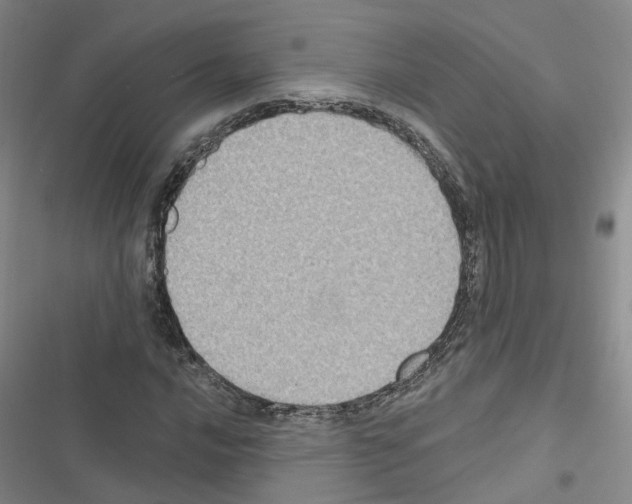 X0000116431016201001191506