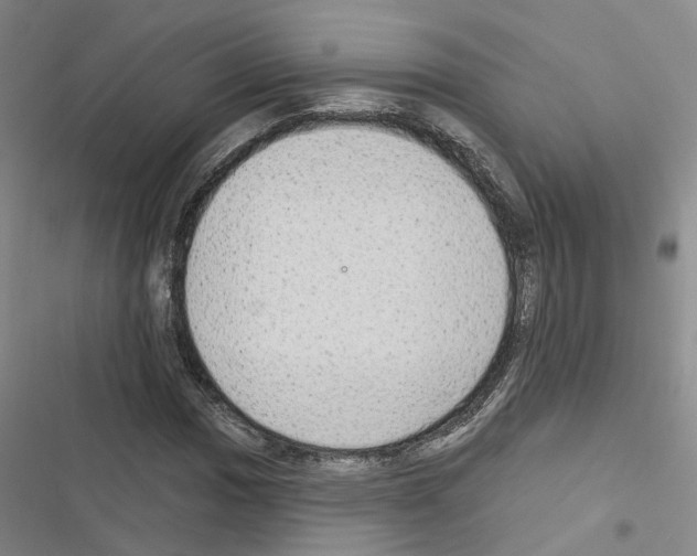 X0000116431017201001191506