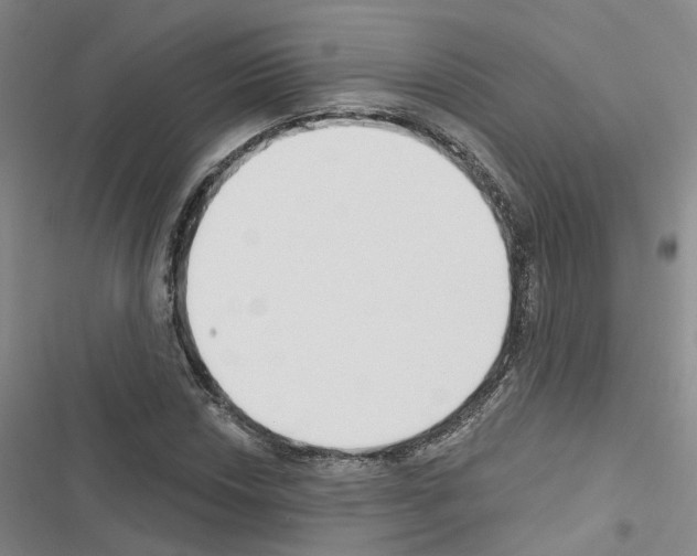 X0000116431018201001191506