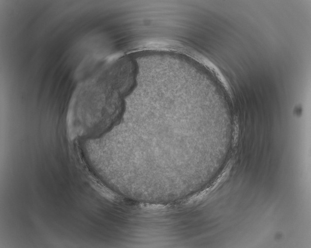 X0000116431019201001191506
