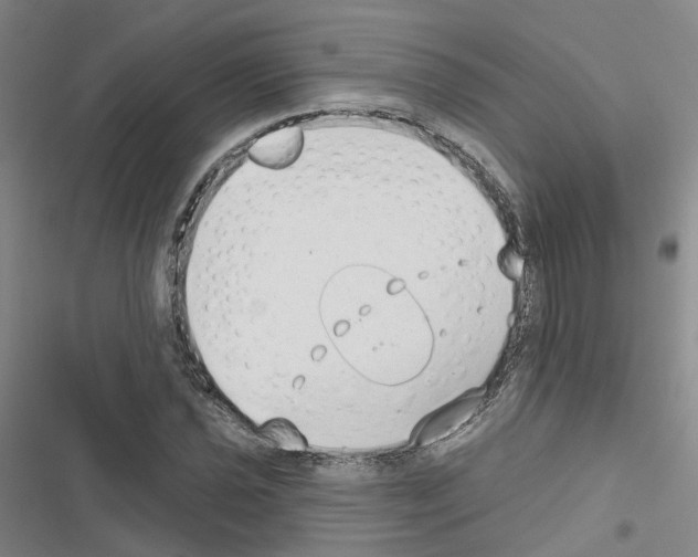 X0000116431021201001191506