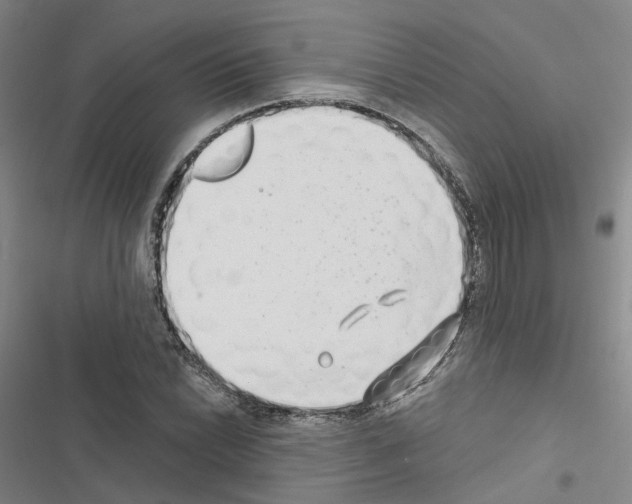 X0000116431022201001191506
