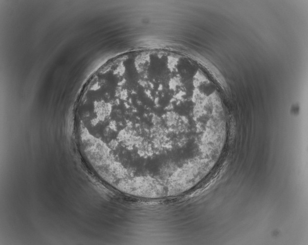 X0000116431023201001191506