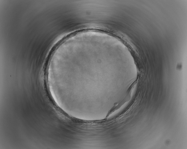 X0000116431024201001191506
