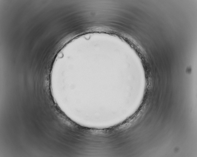 X0000116431025201001191506