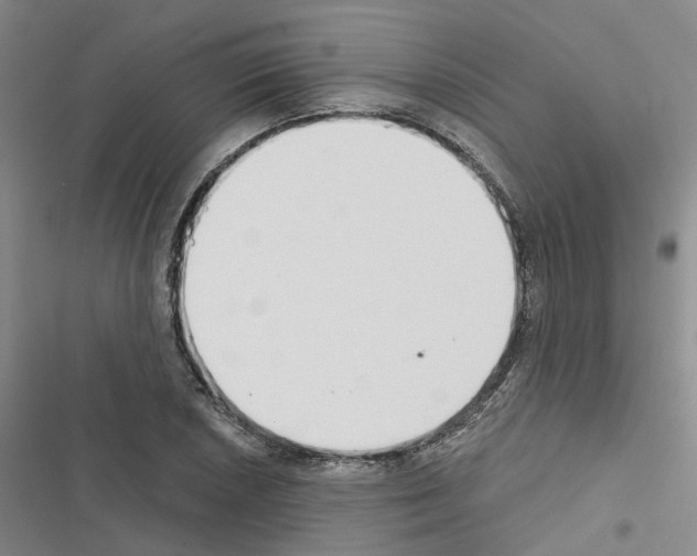 X0000116431026201001191506