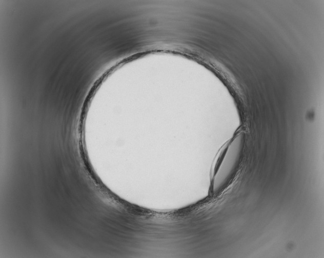 X0000116431028201001191506