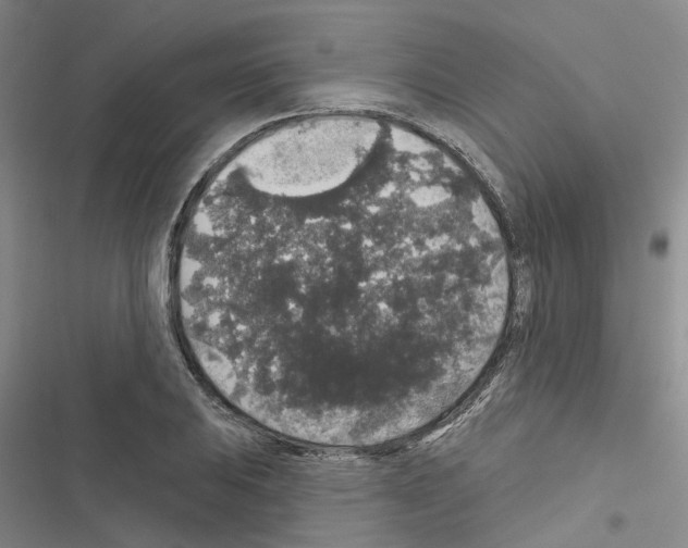 X0000116431031201001191506