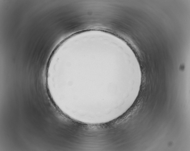 X0000116431032201001191506