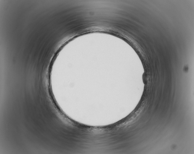 X0000116431034201001191506