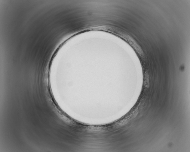 X0000116431036201001191506