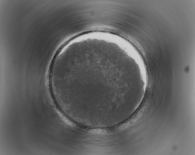 X0000116431037201001191506