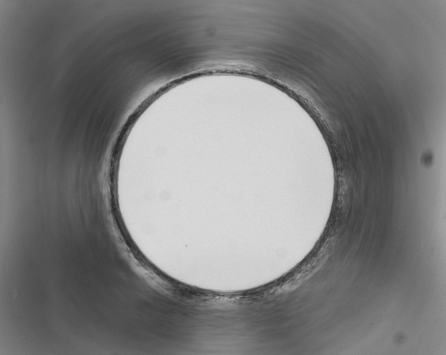 X0000116431038201001191506