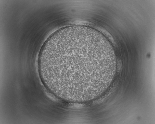 X0000116431039201001191506