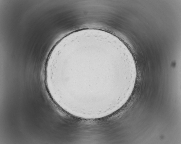 X0000116431040201001191507
