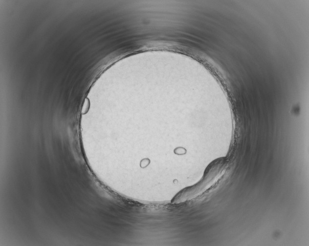 X0000116431041201001191507