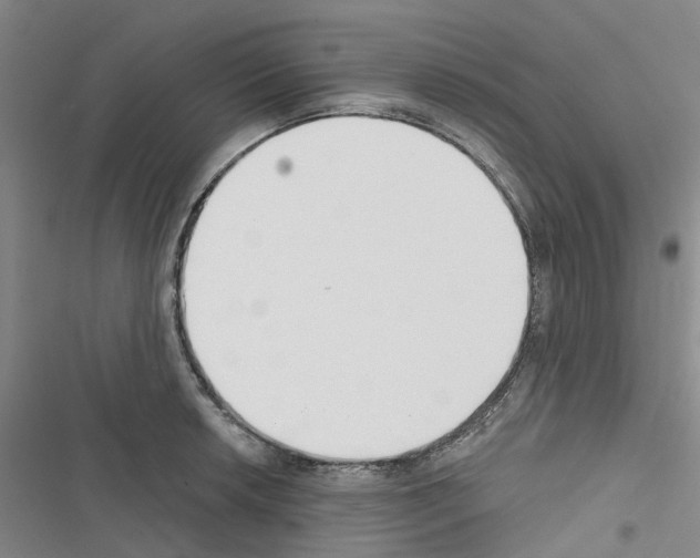 X0000116431042201001191507