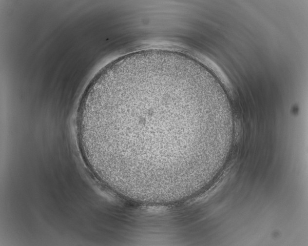 X0000116431043201001191507