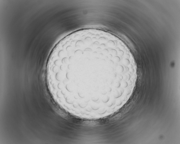 X0000116431044201001191507