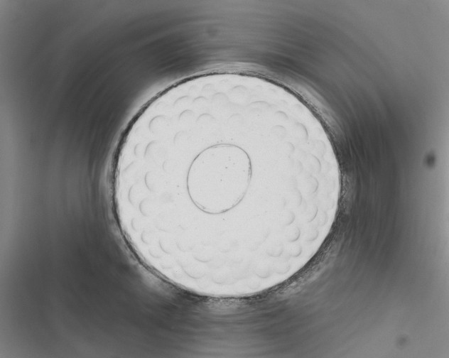 X0000116431046201001191507