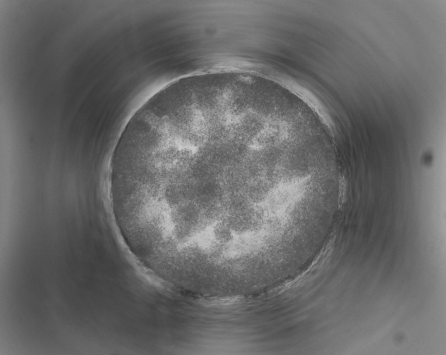 X0000116431047201001191507