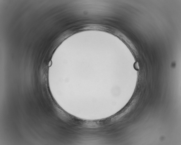 X0000116431049201001191507