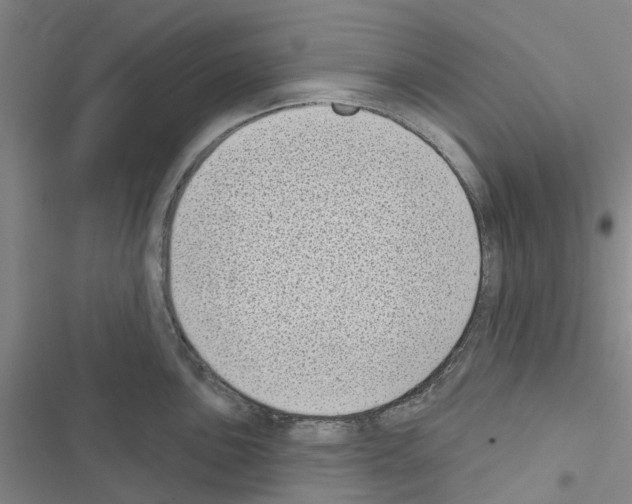 X0000116431051201001191507