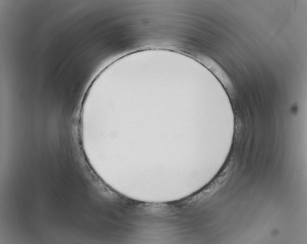 X0000116431052201001191507