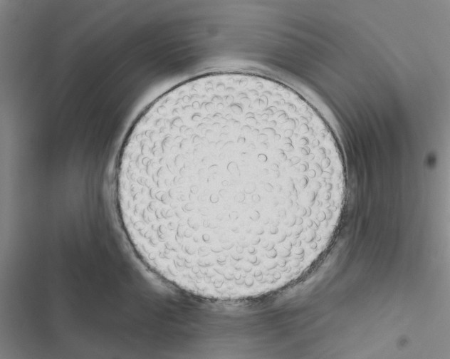 X0000116431053201001191507
