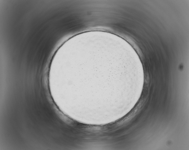 X0000116431054201001191507
