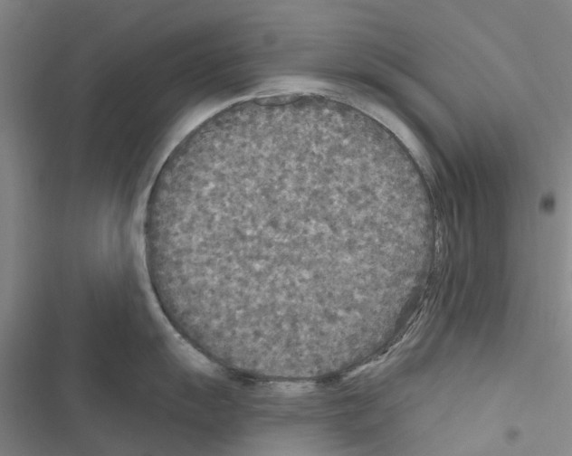 X0000116431055201001191507