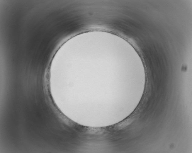 X0000116431056201001191507