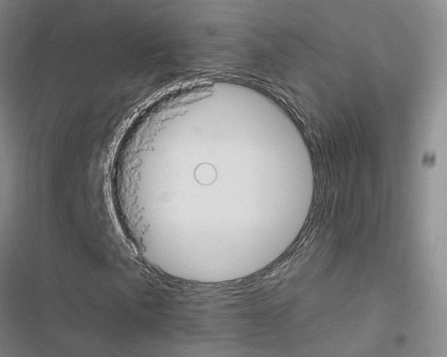 X0000116431057201001191506