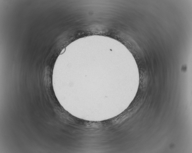 X0000116431058201001191506