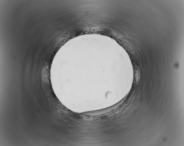 X0000116431059201001191506