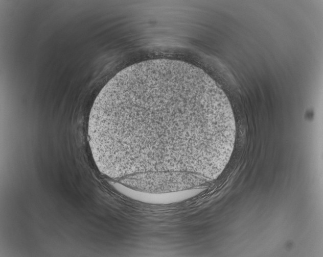 X0000116431060201001191506