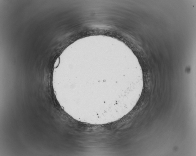 X0000116431061201001191506